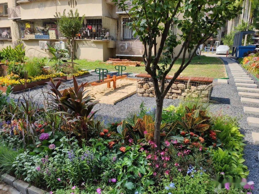 福田区社区共建花园10——龙溪花园社区共建花园_手机搜狐网