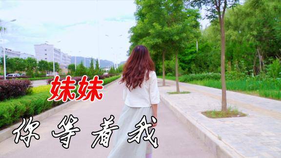 妹妹你等着我最新流行网络歌曲