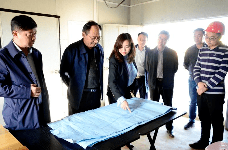 陆应平深入海口镇集贤路街道调研重点项目建设情况