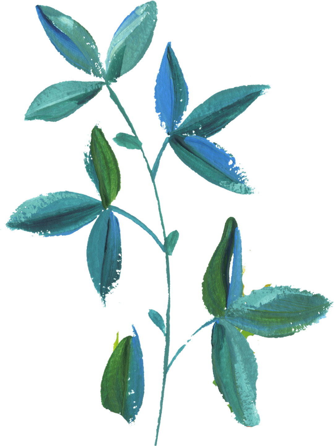 清淡!浓烈!这里都有!_颜色