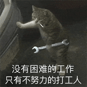 沙雕猫表情包打工猫沙雕表情包