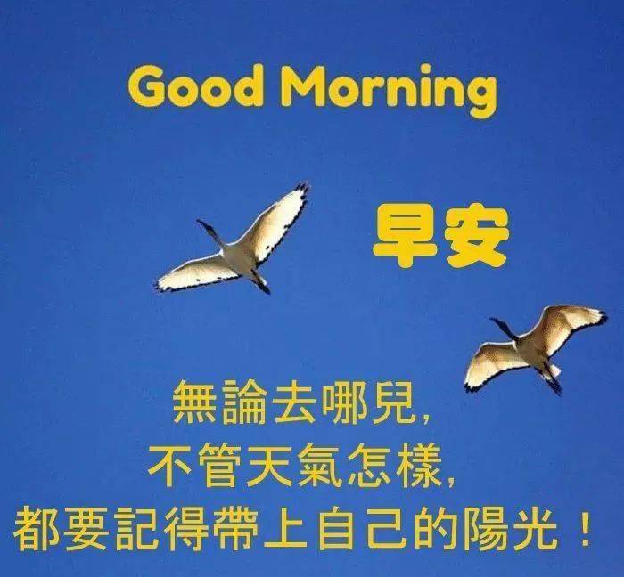 5,人生的幸福,不在于富足,而在于满足.