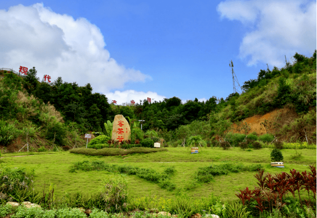 重磅紫金县首届茶旅文化节今日开幕