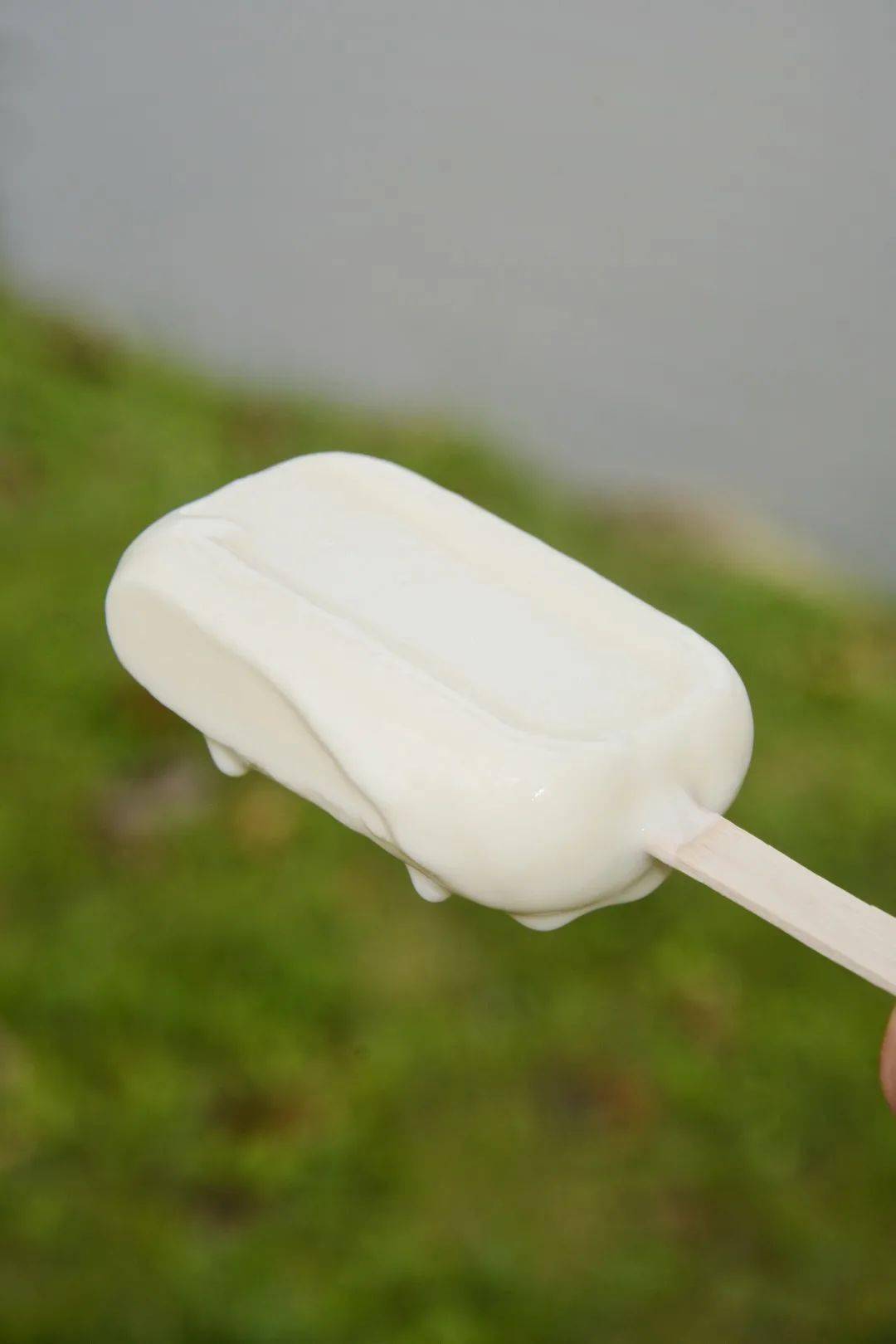 海华两蚊酸奶砖食过翻童年