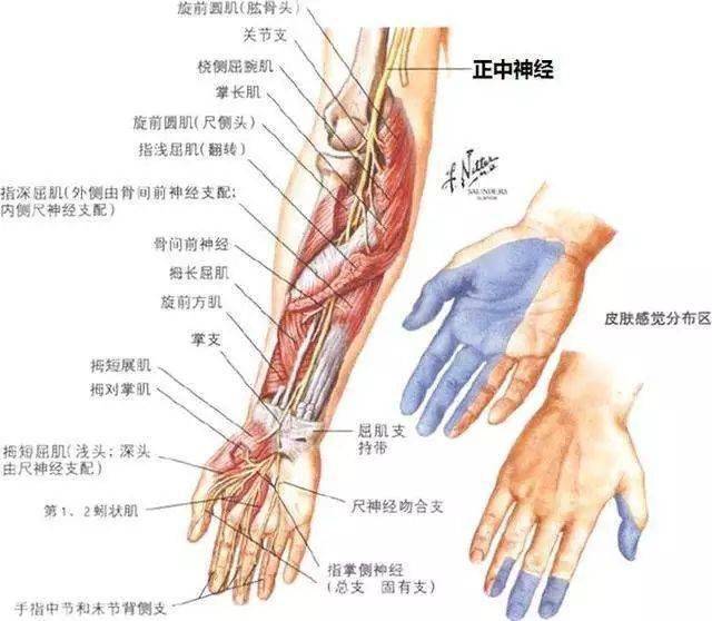 當患者手臂麻木千萬別隻想到是頸椎的問題