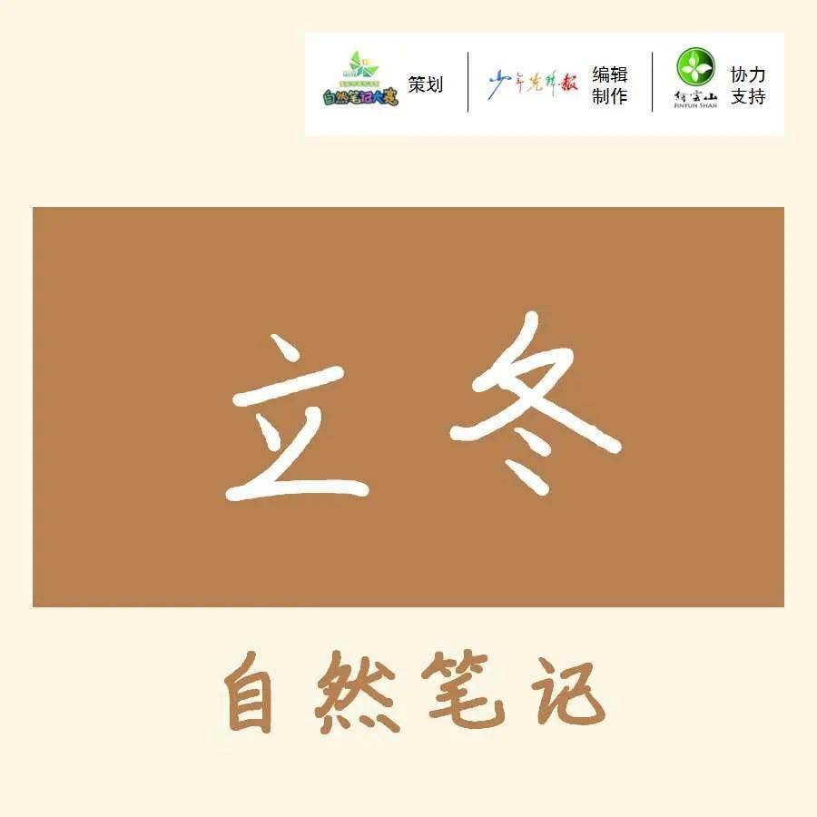 节气立冬自然笔记