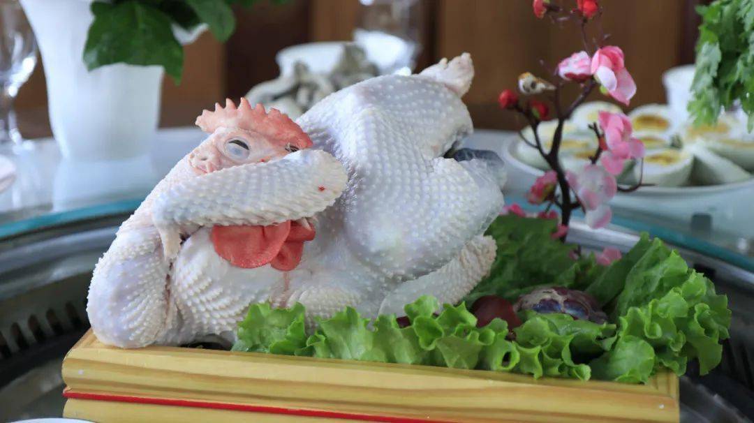 【龙湖原生态散养鸡】