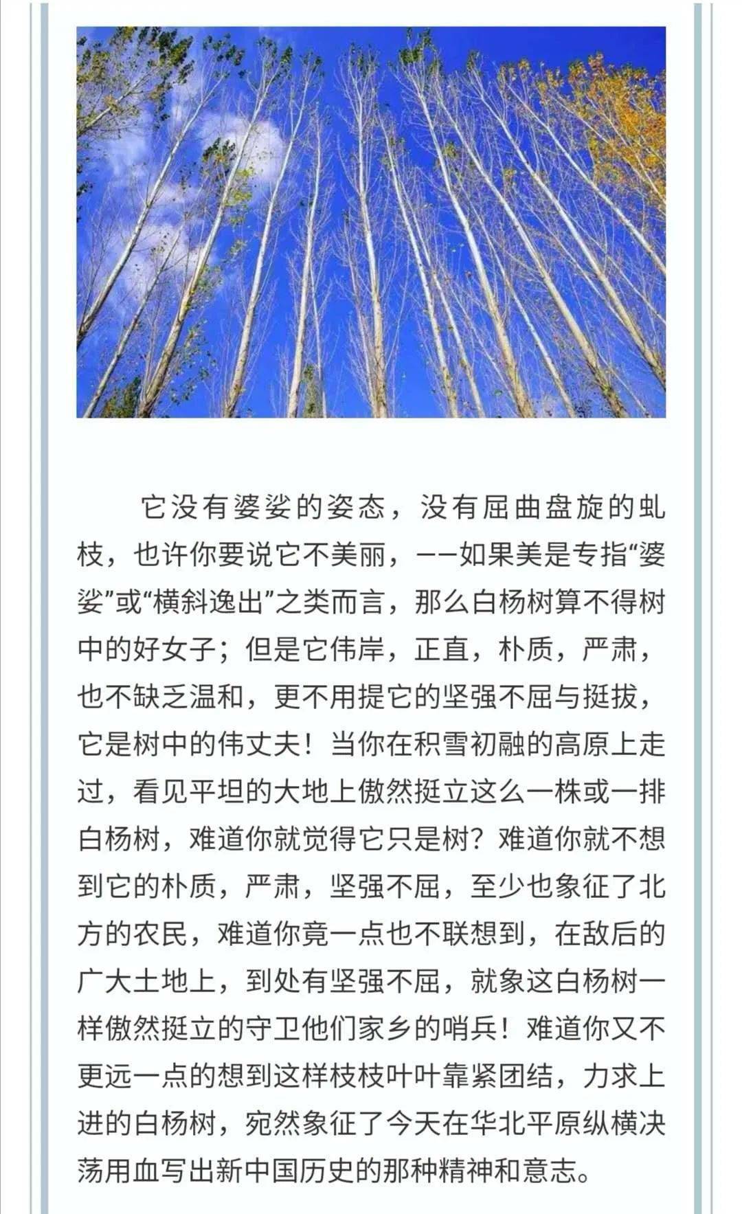 傾聽白楊禮讚朗讀會寧融媒主播魏安琪