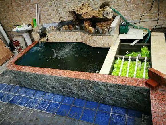 建个养鱼池是每个钓鱼人的梦想这里有完整的实例