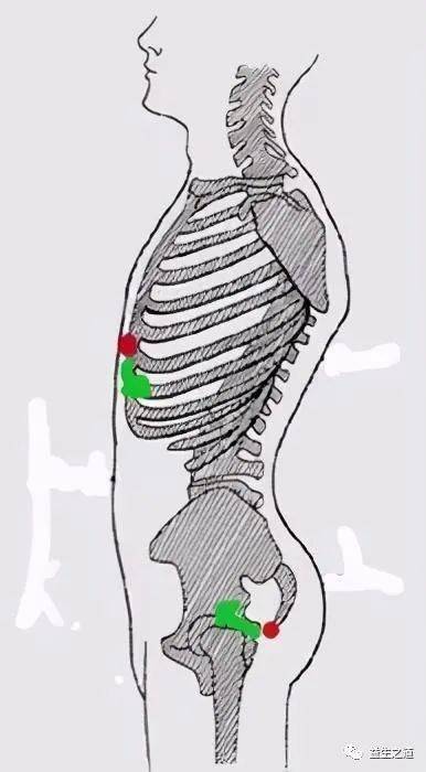 怎样做到含胸拔背没想到这么一篇图文就说清了
