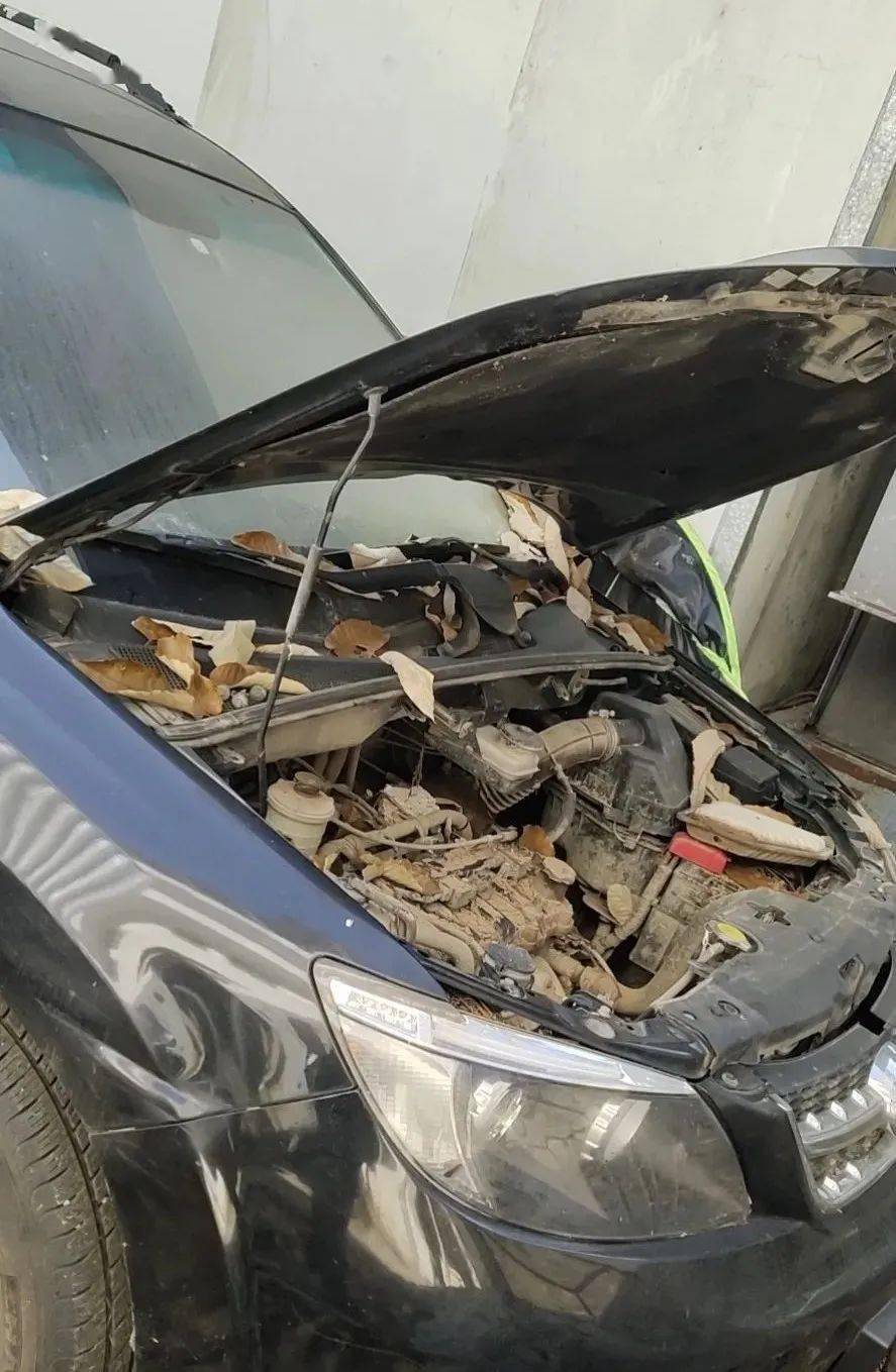 在利川小河716特大暴雨中被水淹泡的轿车为何至今还没修好