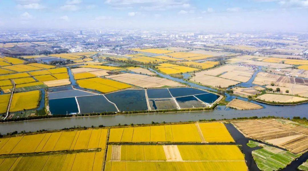 河成景,田成画!这里是水乡时堰