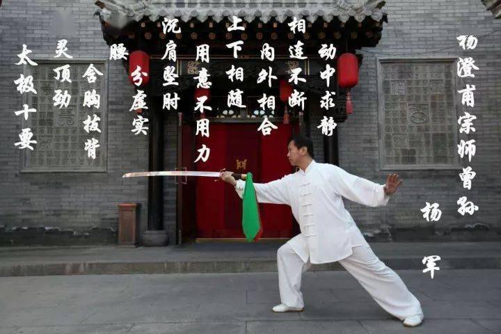 [经典传承]杨振铎宗师与其孙杨军老师同演杨氏太极剑(视频)