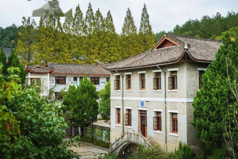 武岭学校的学生们看过来.