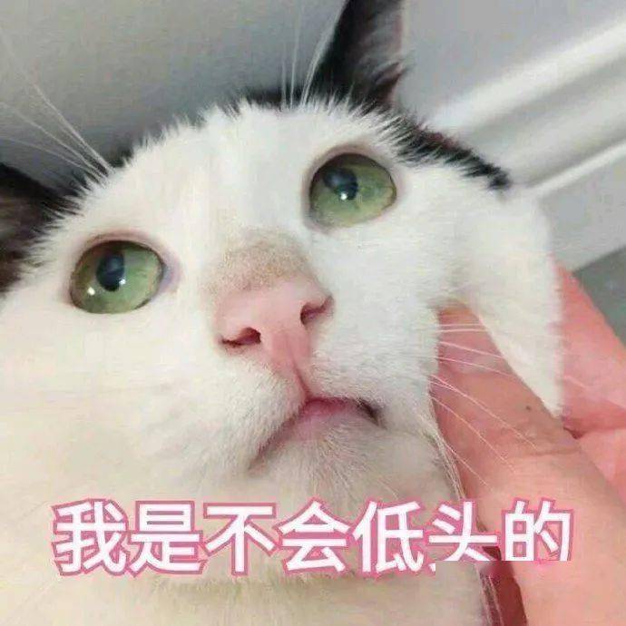 你满意了吗_表情