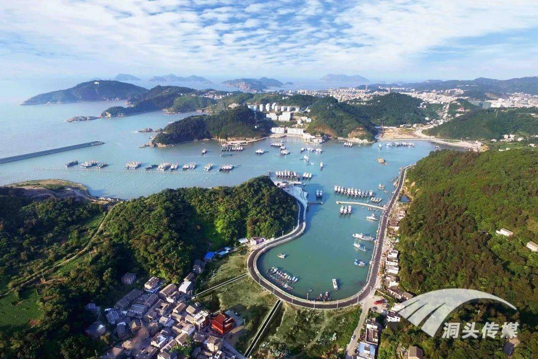 洞头网站建设 来自搜狐网