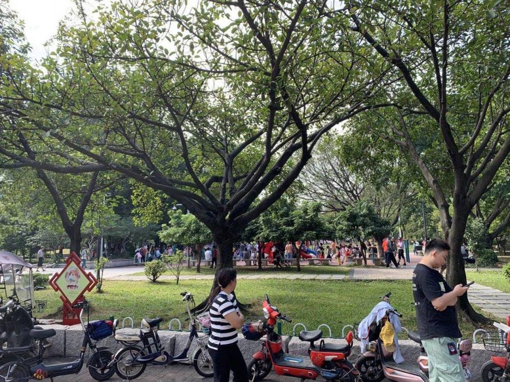 当天上午9点50分,东涌镇综合行政执法大队队员冯明军在东涌公园日常