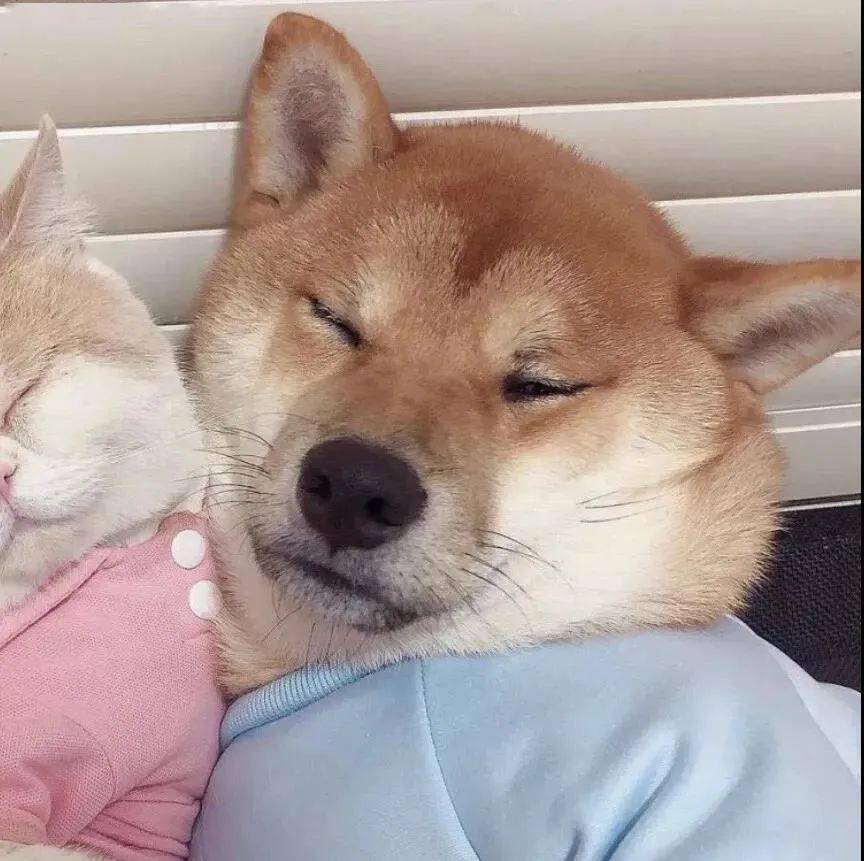 今日头像世界灿烂盛大也有人欢迎你回家