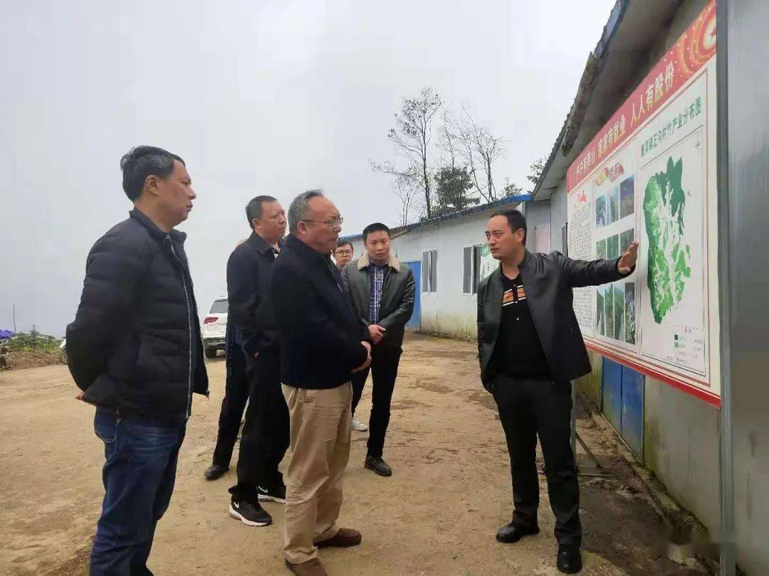 昭通市政府副市长王斌到盐津调研