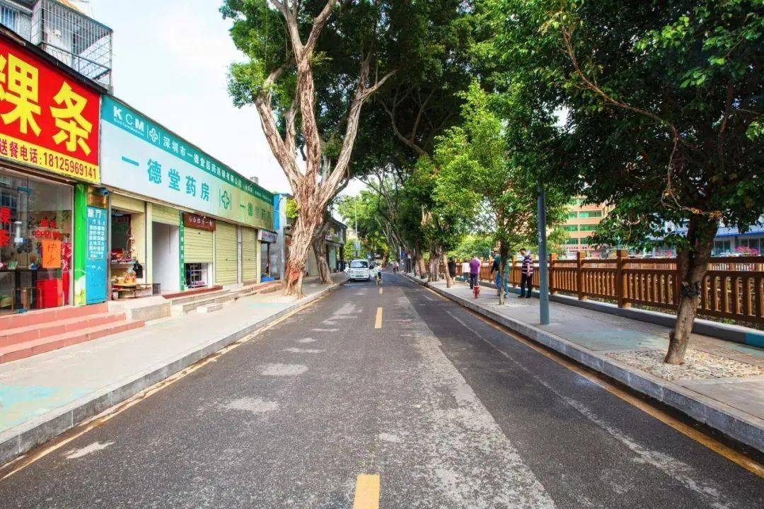 美呆了!龙华街道72个城中村逐渐实现美丽"蝶变"