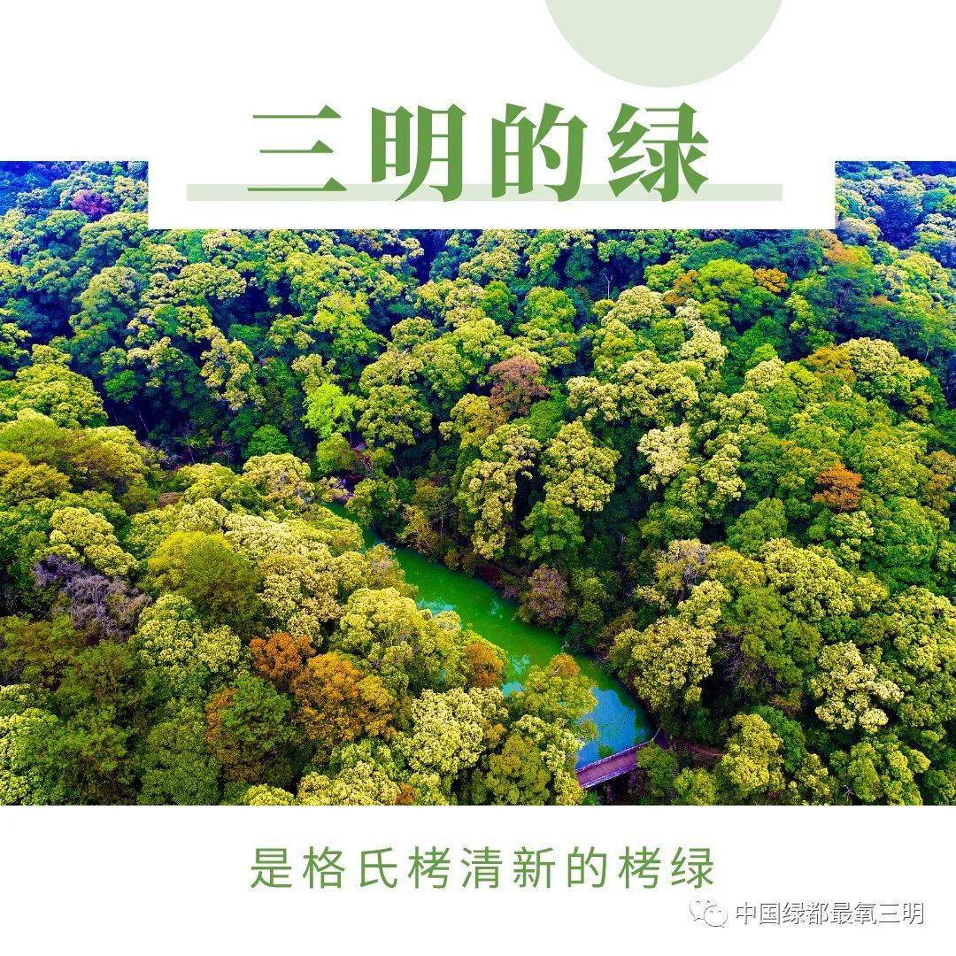 三明的绿到底是什么绿