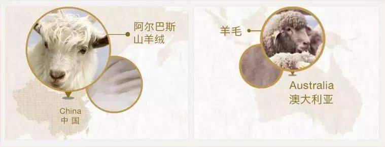 羊绒羊毛那它们到底有什么区别呢