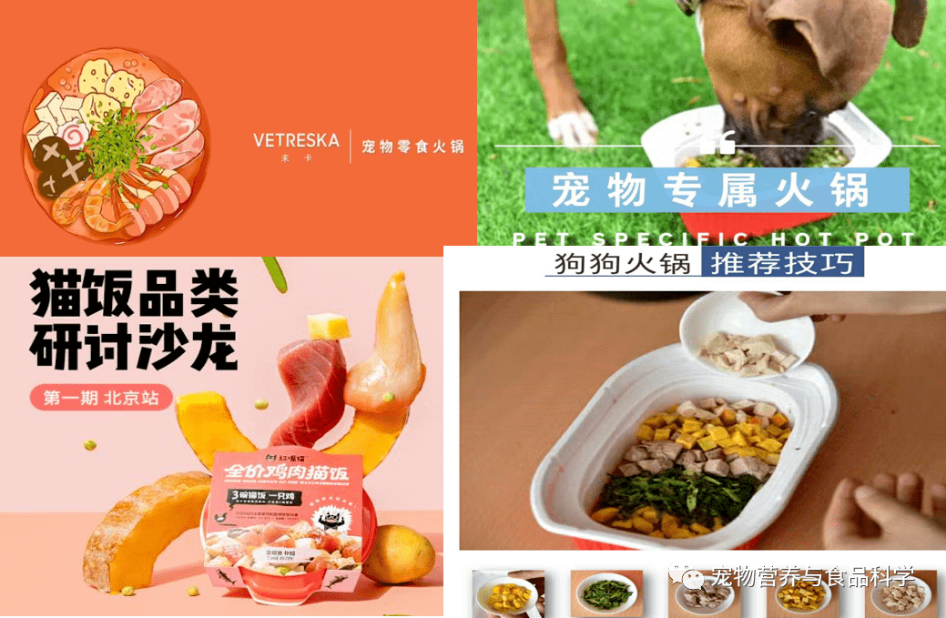 2020年我國寵物食品犬貓糧產量逆勢上漲