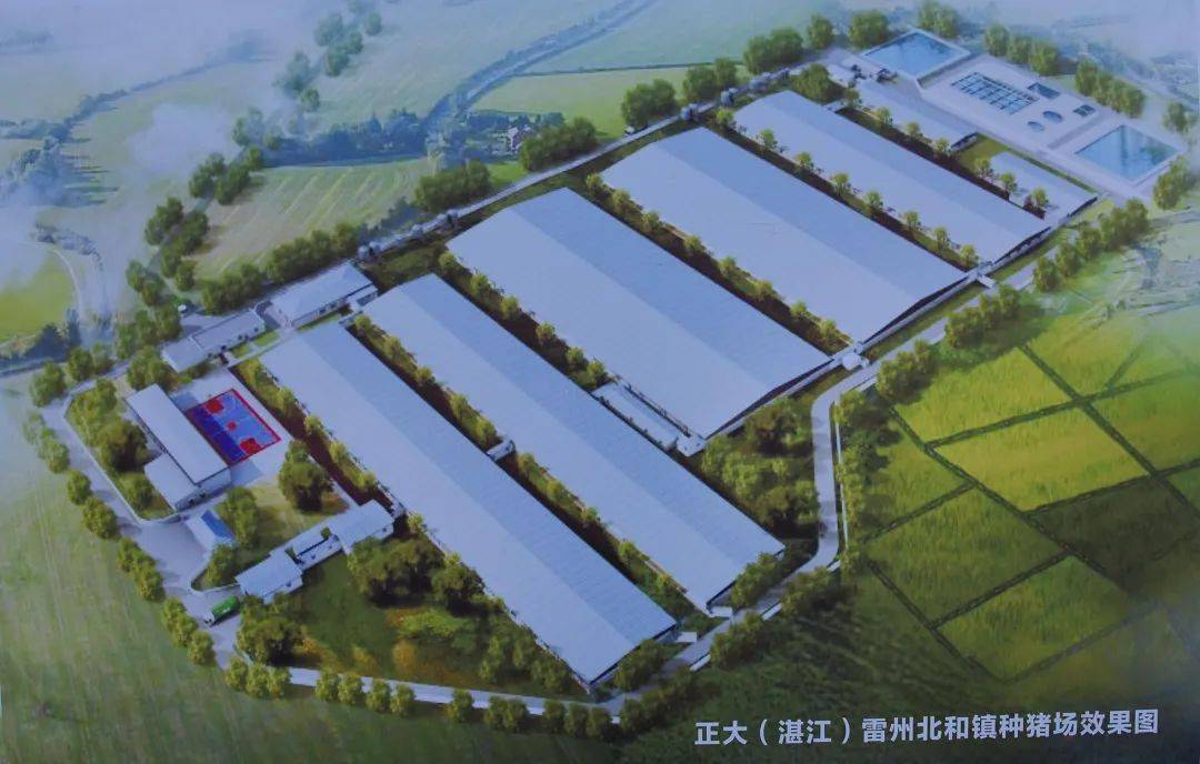 正大集团在雷州投40亿元建100万头生猪产业链项目