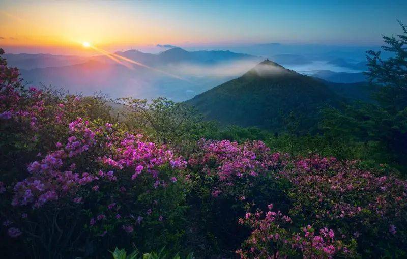 西坞金峨山上安了台救命神器为游客出行保驾护航