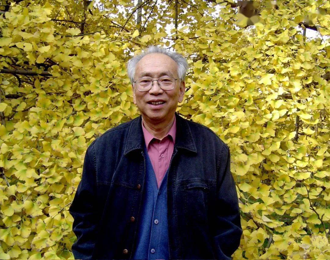 2022年国际安徒生奖候选人产生金波老师将代表中国作家参评
