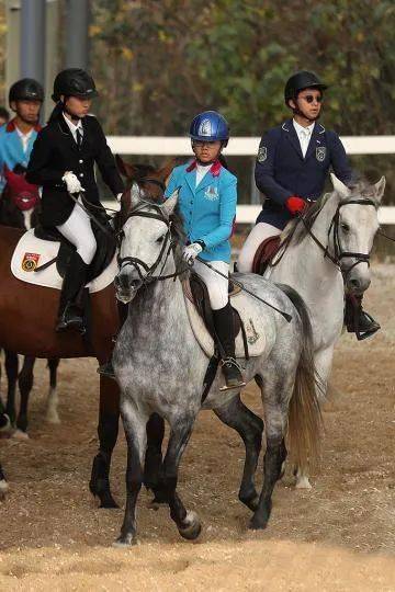 赛事南京首届马术比赛嘉年华火热举办骑手驰骋赛场展英姿
