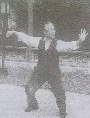 王培生对用意不用力的七点看法