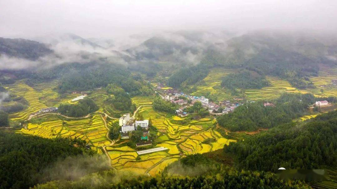 四味南平|浦城楓溪鄉梯田,秋色迷人眼