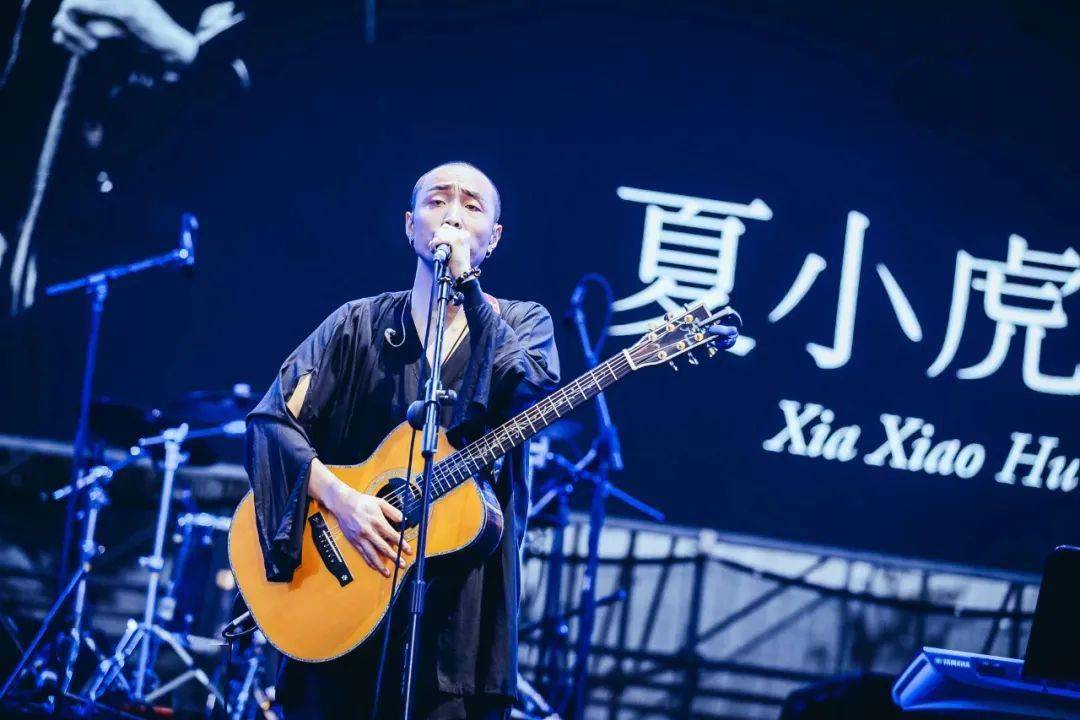 当夏小虎的音乐响起疗愈悲伤便有了良药坚果nuts