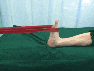 超全的脚踝扭伤康复指南!