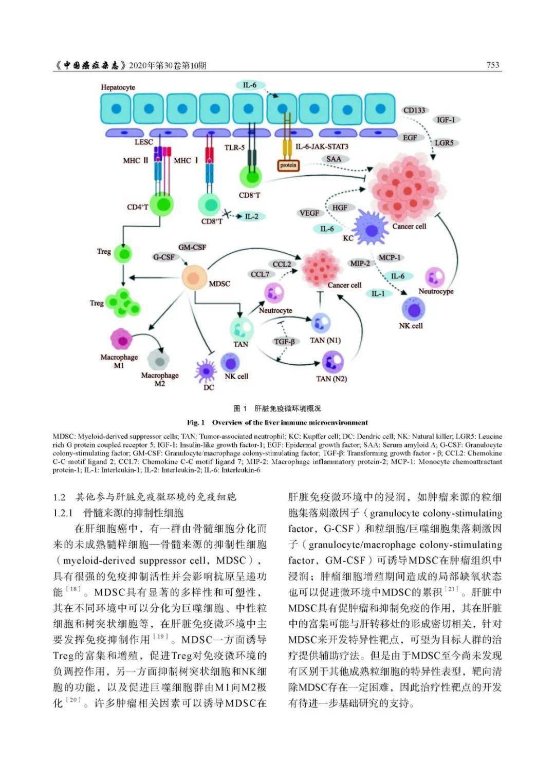 苏春霞教授非小细胞肺癌肝转移免疫微环境及未来干预策略