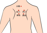 大椎 准确位置图 肺俞图片