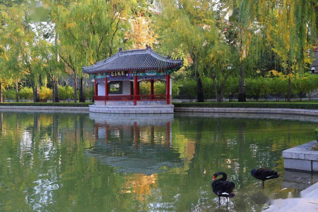 收藏 || 中央党校校园秋景