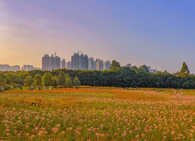 赏色丨请为湛江这个公园的美景打call