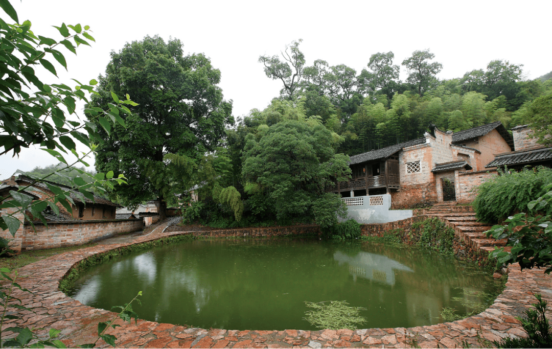 白鹭乡专场赣县区文化惠民系列活动繁荣夜间经济共促脱贫攻坚