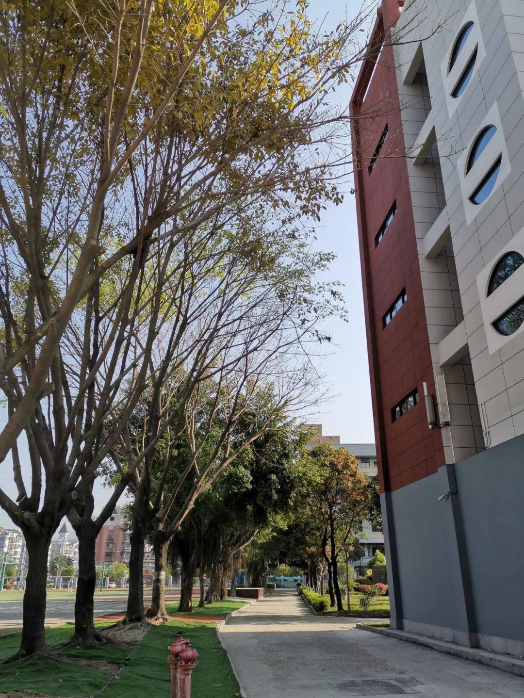 福州格致中学鼓山校区福州十一中福州四中福州二中福州三中泉州一中