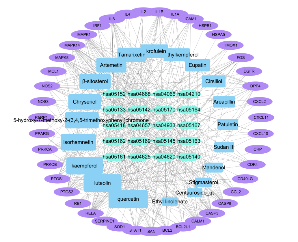 对covid19衍生心肌损伤的热毒宁注射液治疗机制的网络药理学和分子
