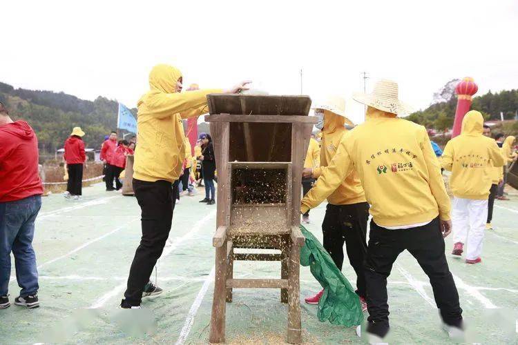 風展紅旗如畫三明這裡豐景獨好羅翠農民豐收節歡笑不斷