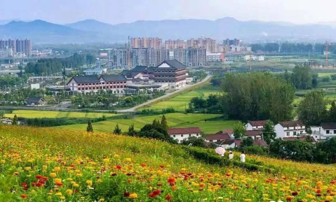 洋县上榜,汉中唯一!_手机搜狐网