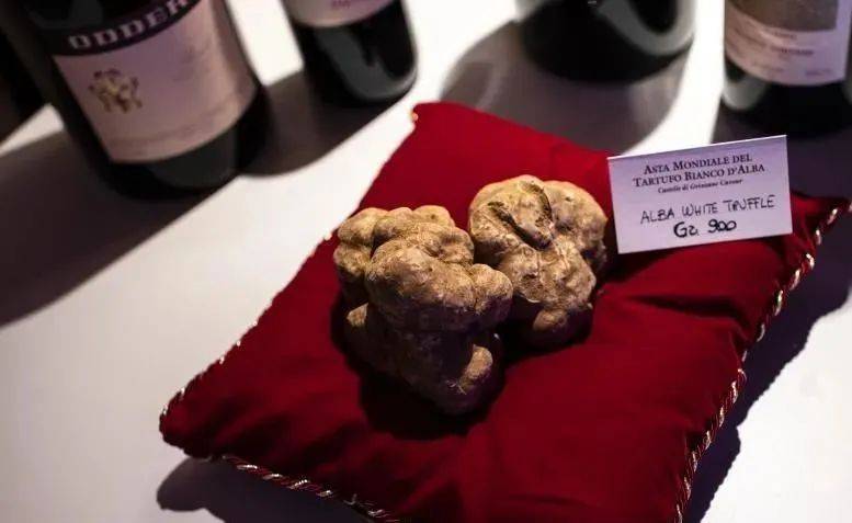 2020意大利白松露900克身价10万欧元