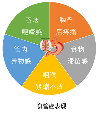 "消化疾病离你有多远?
