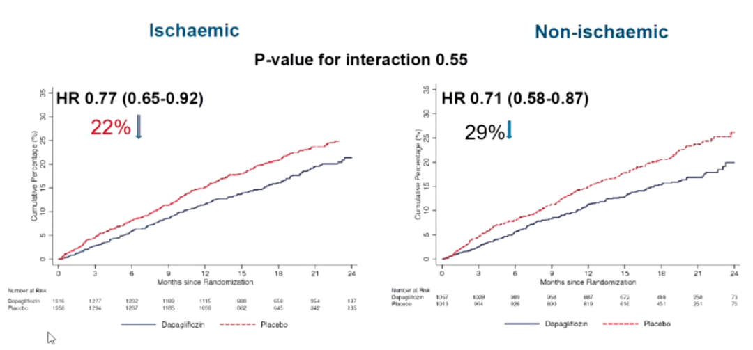 对该研究的基线数据进行分析
