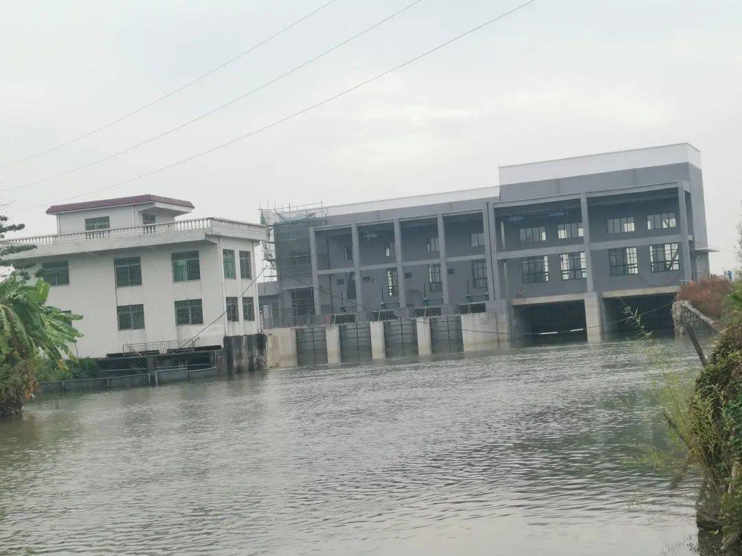 施工人员正在水闸房前的地面实施硬底化及绿化建设.