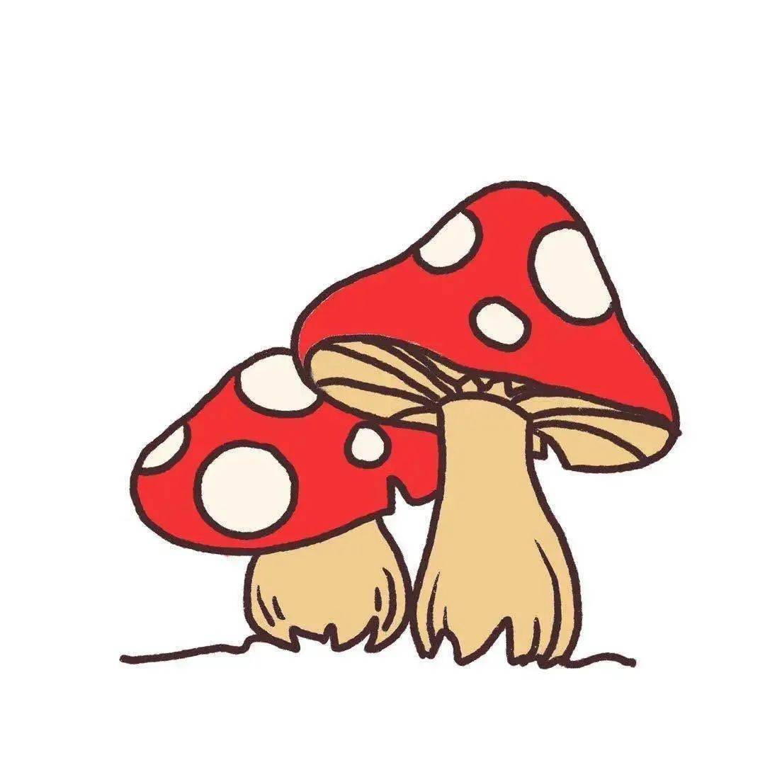 惠州一夫妻双双误食毒蘑菇被送到医院一颗毒蘑菇放倒一桌人