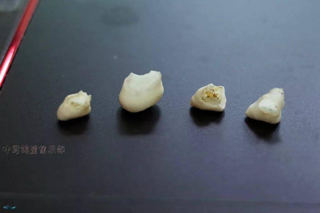 那些养鲤不知道的事锦鲤跟人一样也是需要换牙的